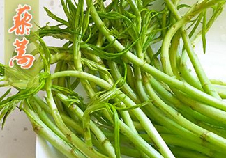 藜蒿什么季節有？藜蒿是發物嗎