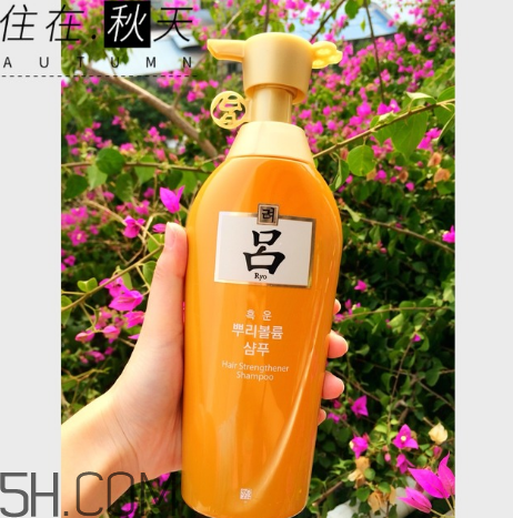 黃呂洗發水怎么樣？黃呂洗發水適合人群
