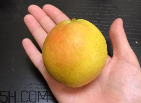 南果梨是發物嗎？南果梨是酸性還是堿性