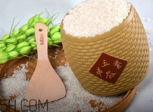 五常大米是哪里產的？五常大米是轉基因的嗎