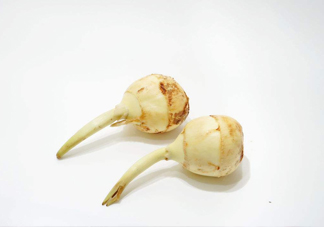 慈菇是發物嗎？慈菇是馬蹄嗎