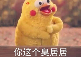 你個(gè)臭居居什么意思？你個(gè)臭居居表情包