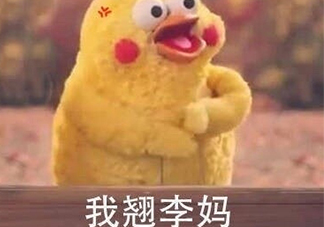 翹李媽什么意思？我翹李媽表情包