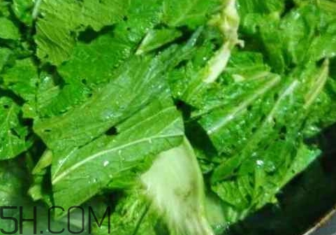 芥菜葉子的營養價值_芥菜葉子的功效與作用