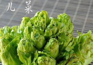 青菜頭是不是兒菜？大頭菜和兒菜的區別
