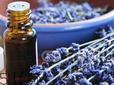 如何用精油護發？薰衣草精油護發怎么用？