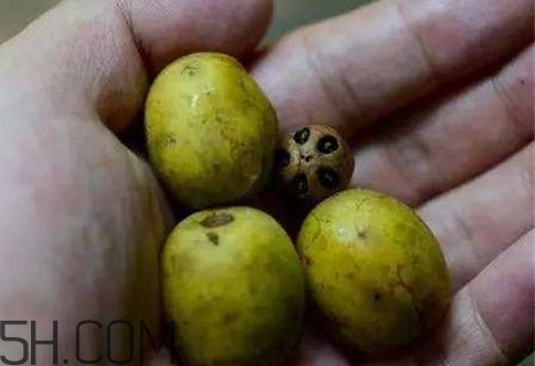 南酸棗可以泡酒嗎？南酸棗果核有什么功效