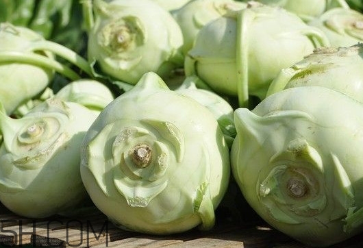 大頭菜是發物嗎？大頭菜是卷心菜嗎