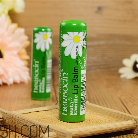 賀本清德國小甘菊潤唇膏好用嗎？賀本清德國小甘菊潤唇膏測評