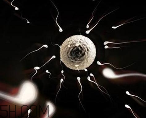 少精癥能自然懷孕嗎？少精癥多久能治好？