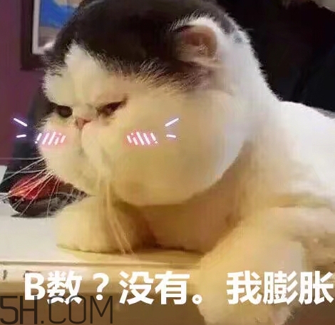 b數沒有我膨脹什么意思？b數沒有我膨脹表情包