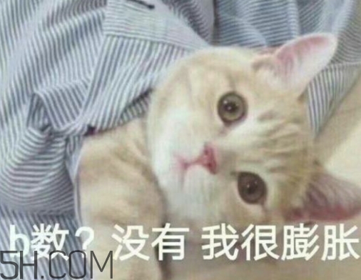b數沒有我膨脹什么意思？b數沒有我膨脹表情包