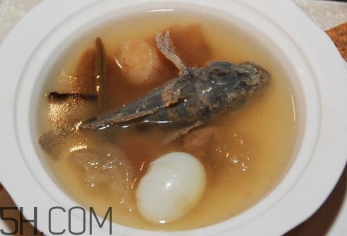 松江鱸魚哪里有？松江鱸魚什么季節吃最好