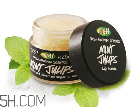 lush唇部磨砂膏好用嗎？lush唇部磨砂膏多少錢？