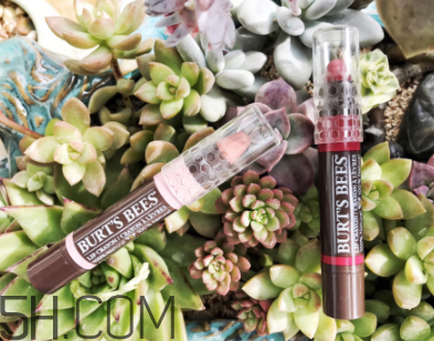 小蜜蜂唇膏筆多少錢？小蜜蜂唇膏筆很貴嗎？