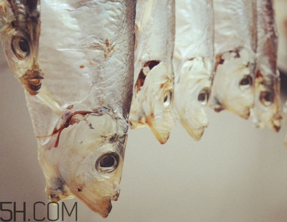 腌咸魚鹽和魚的比例是多少？咸魚一般腌多久才能曬