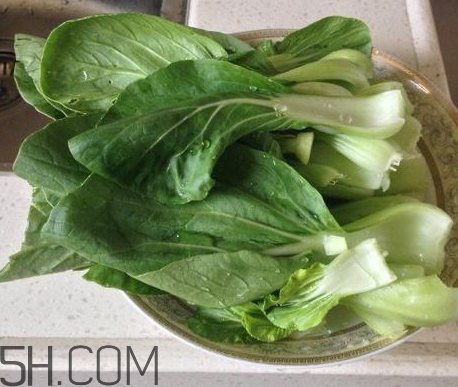 青菜是涼性還是熱性 青菜是發物嗎