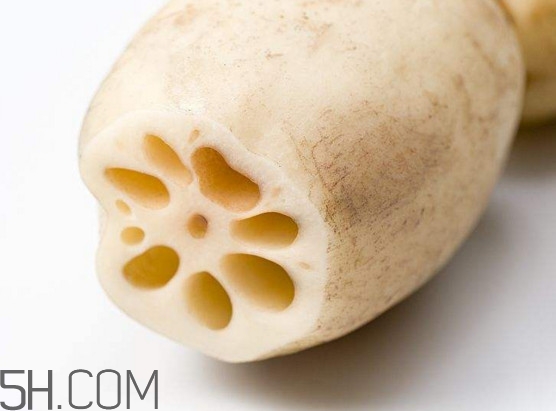 蓮藕是什么季節成熟的？蓮藕什么時候種植