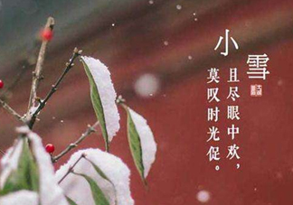 小雪節氣是怎樣來的？小雪節氣飲食習俗有哪些