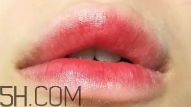 mac lady bug掉色嗎？mac ladybug真假辨別