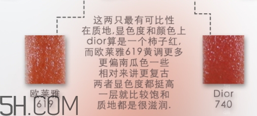 歐萊雅619和迪奧740像嗎？歐萊雅619秋葉和迪奧740對比