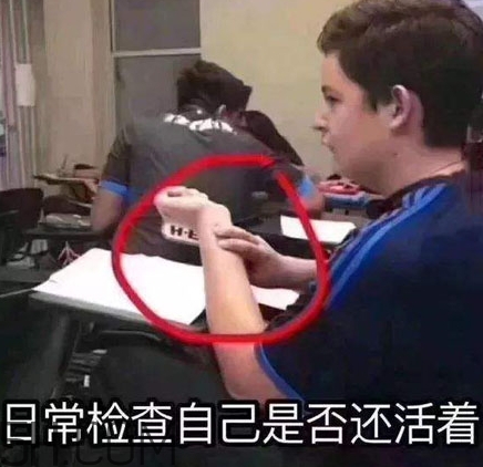 養生朋克什么意思？怎么做一個養生朋克？