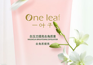一葉子去角質素怎么樣？一葉子去角質素怎么用？