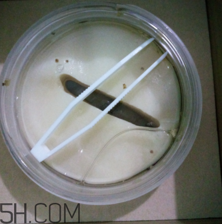 膜法世家金桂花眼膜怎么樣？膜法世家金桂花眼膜好用嗎？