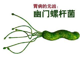 胃幽門螺旋菌陽性怎么辦？幽門螺桿菌能徹底治愈嗎