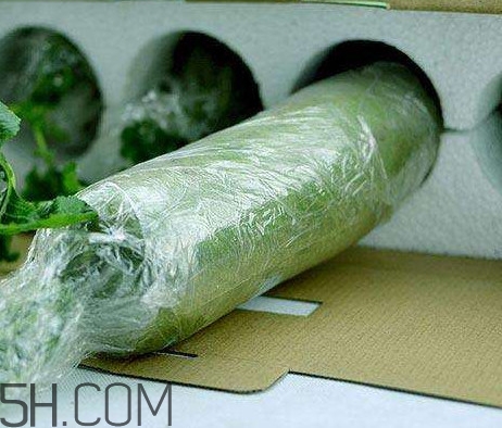 如何鑒別真假沙窩蘿卜？沙窩蘿卜怎么區分好壞