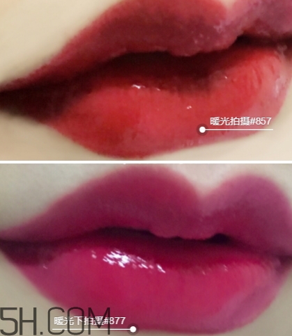 迪奧857和877哪個好看？迪奧857和877試色對比