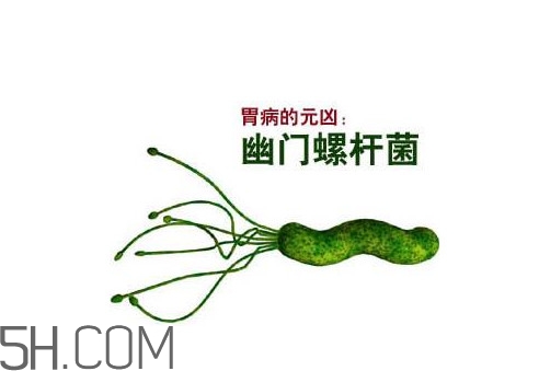 胃幽門螺旋菌陽性怎么辦？幽門螺桿菌能徹底治愈嗎