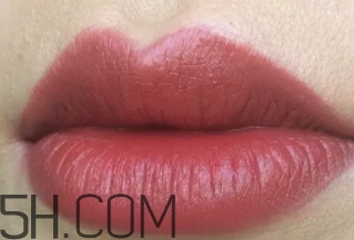 nars mona是啞光嗎？nars mona干不干？