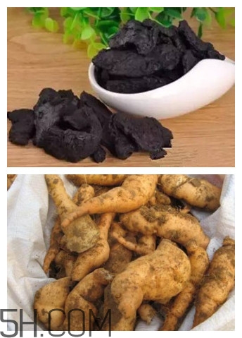 熟地黃與生地黃有什么區別？熟地黃有什么做法？