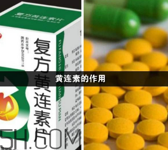 黃連素能降血糖嗎？黃連素能經(jīng)常吃嗎？