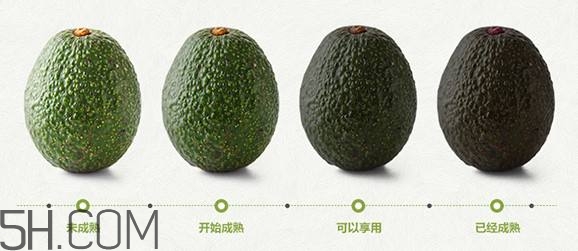 生牛油果可以放冰箱嗎？生牛油果怎么保存？