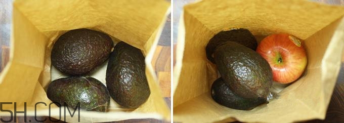 生牛油果可以放冰箱嗎？生牛油果怎么保存？