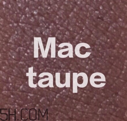 mac mocha和taupe哪個好看？mac mocha和taupe對比試色