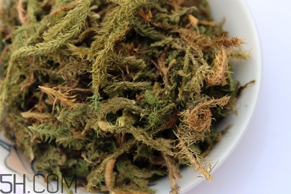 什么是伸筋草？伸筋草的功效與作用是什么？
