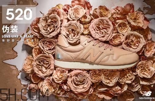 new balance新百倫與野獸派聯名合作系列在哪買_多少錢？