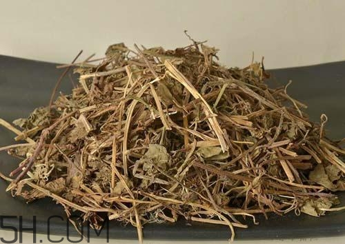 什么是透骨草？透骨草的功效與作用是什么？