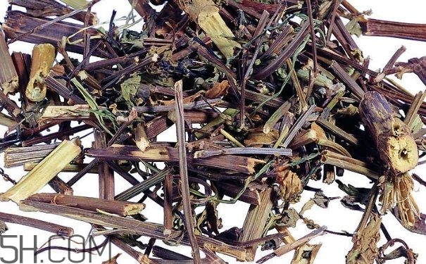 艾葉草洗澡有什么好處？怎么挑選艾葉草？