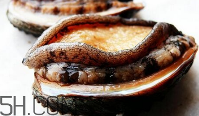 新鮮鮑魚怎么洗才干凈？鮑魚做法大全
