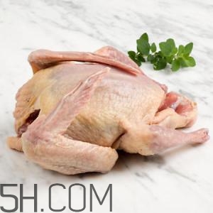 冬天吃什么肉好？冬天吃什么肉比較滋補身體？