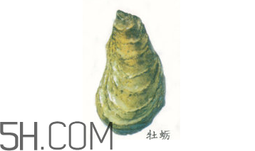 吃生蠔應該注意哪些事項？生蠔與牡蠣的區別