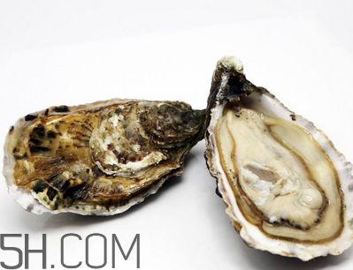量吃生蠔有哪些好處？生蠔糖尿病人能吃嗎？