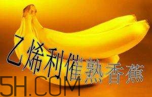 冬天可以吃葡萄嗎？冬天吃葡萄好不好？