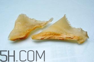 魚翅怎么發？孕婦可以吃魚翅嗎？