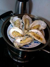 吃生蠔應該注意哪些事項？生蠔與牡蠣的區別