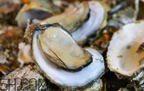 生蠔生吃好嗎？生蠔怎么吃最有營養？